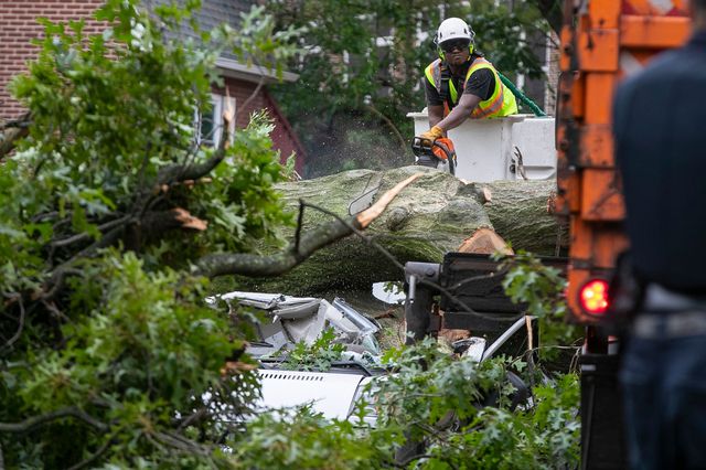 New York City Parks employees work to remove a fallen tree from a van where a person died in Briarwood, Queens